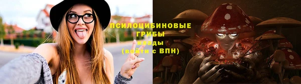 мяу мяу мука Абдулино