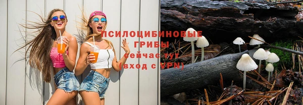 круглые Алзамай