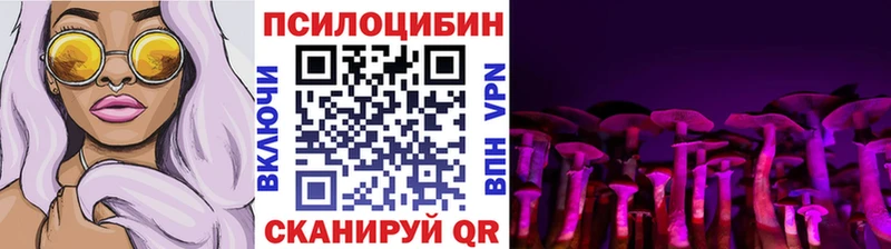 купить наркотики сайты  Ржев  блэк спрут сайт  Галлюциногенные грибы Magic Shrooms 
