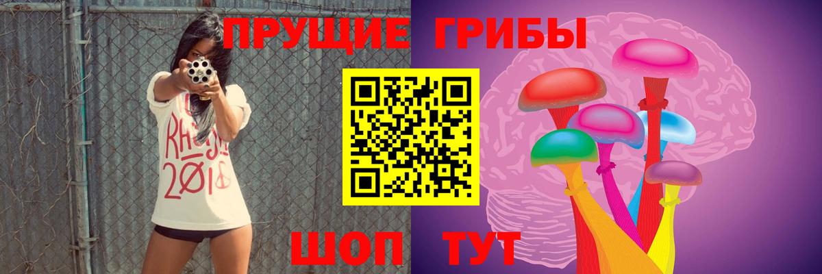 Псилоцибиновые грибы Psilocybe Ржев