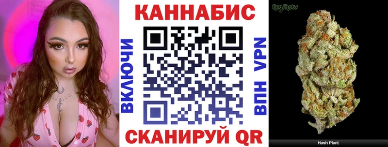 Марихуана план  цены   Ржев 